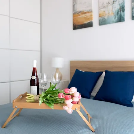 Z Mewami - Bridge Apartaments&spa