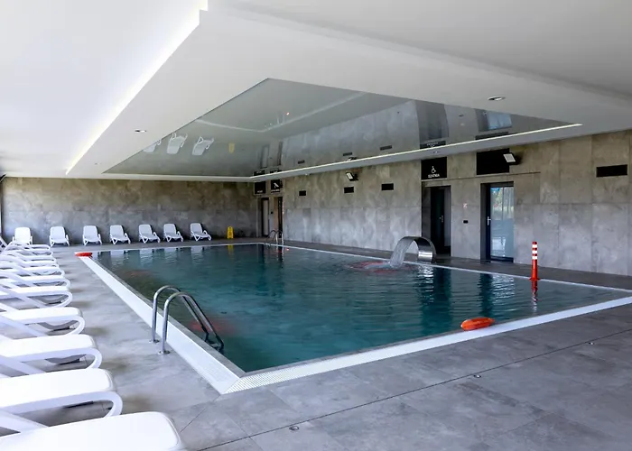 Z Mewami - Bridge & Apartment